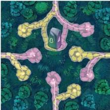 Fairy Trails