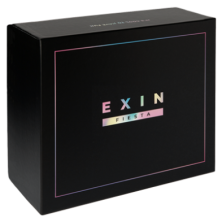 EXIN Fiesta