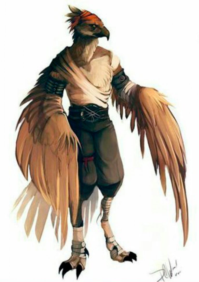 Équipage du Zenith Big-Aarakocra%20monk%20dnd%20monje